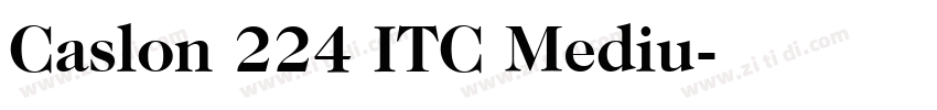 Caslon 224 ITC Mediu字体转换